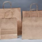 Paper Twisted Handle Bags